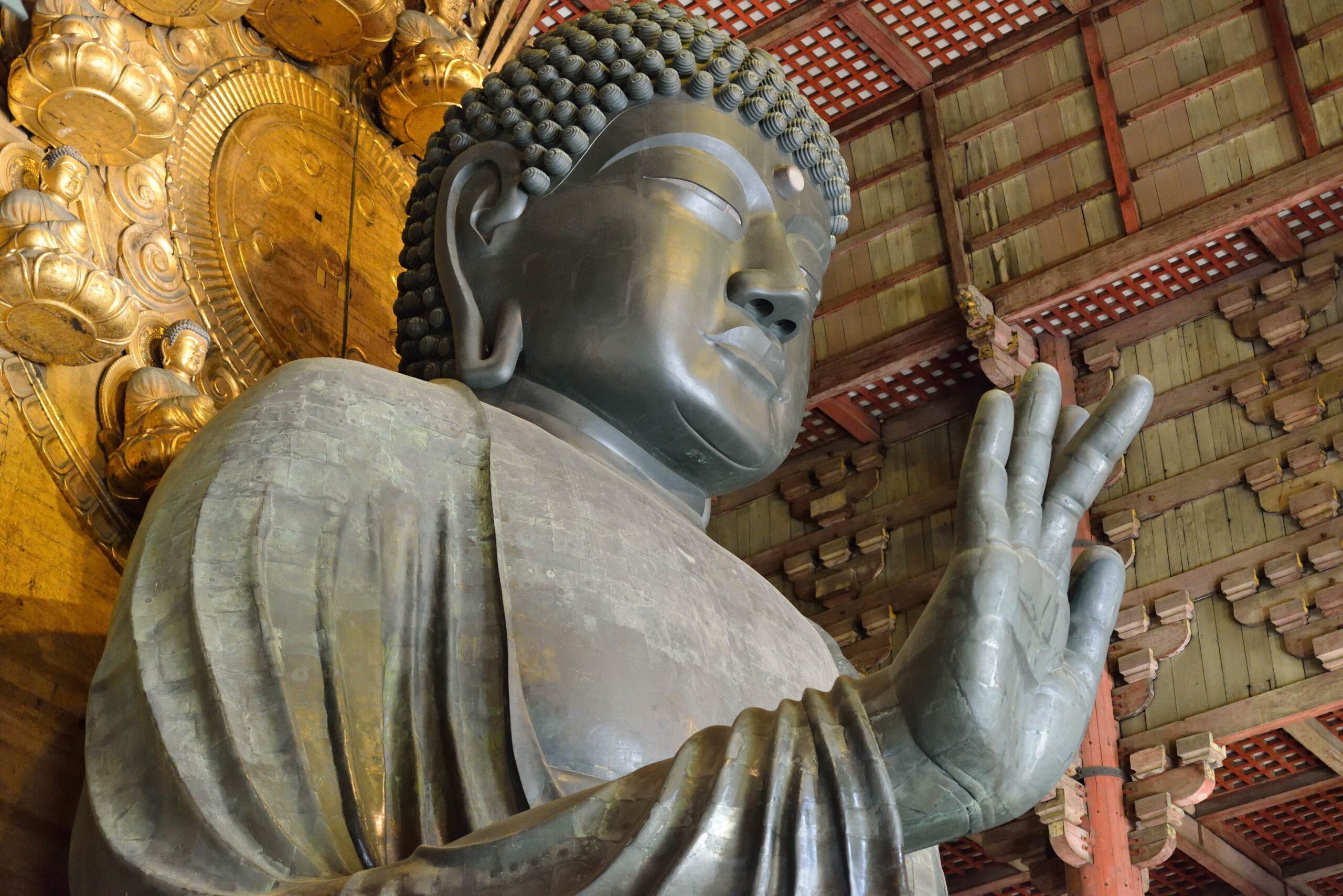 東大寺大仏写真