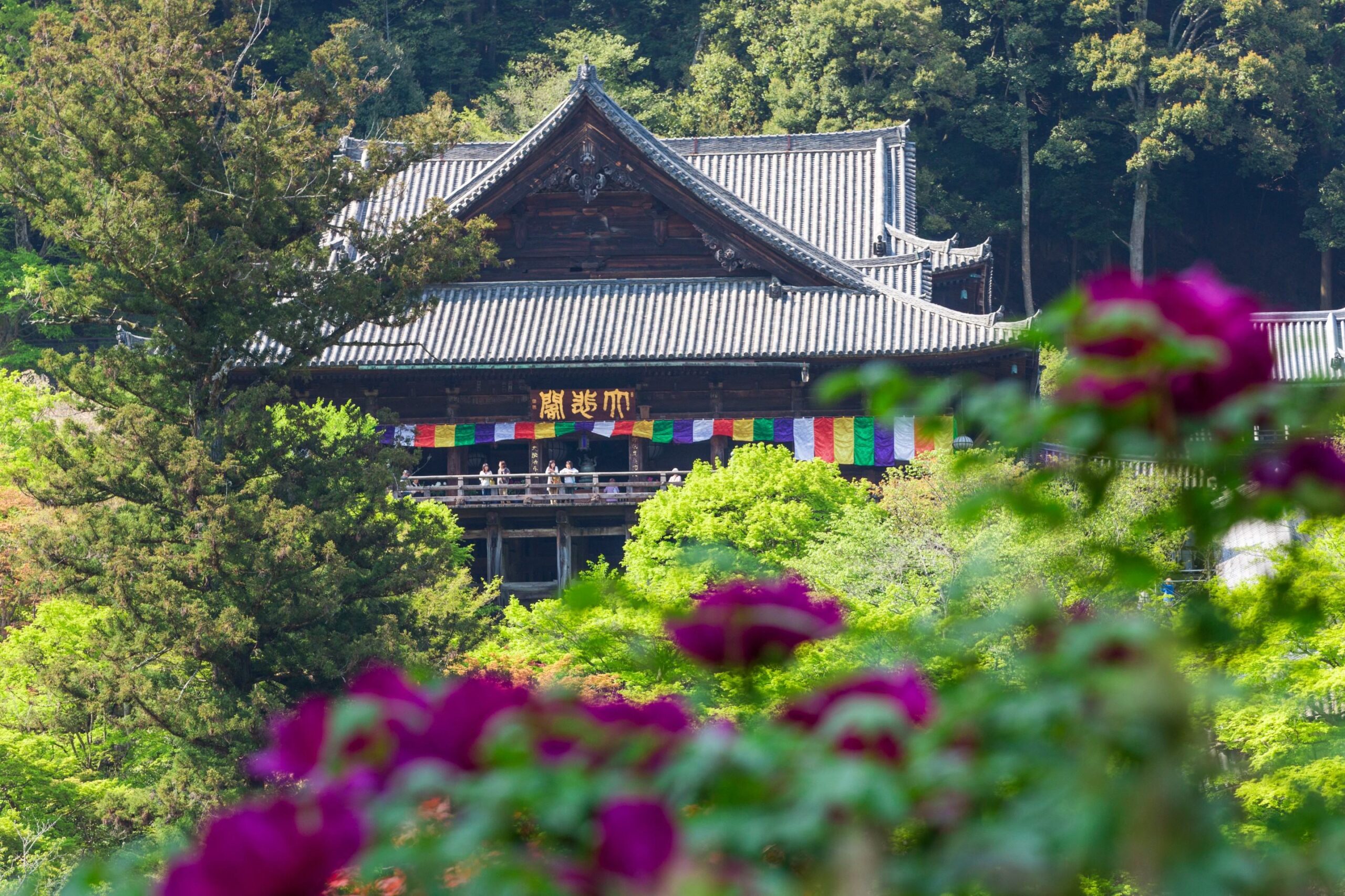 長谷寺写真